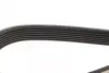 Ремень поликлиновый (пр-во DAYCO) Dayco 7PK1153 (фото 3)