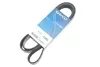 Ремень поликлиновый (пр-во DAYCO) dayco 7PK1770
