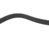 Ремень поликлиновый (пр-во DAYCO) dayco 7PK1770