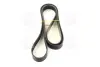 Ремень поликлиновый (пр-во DAYCO) Dayco 7PK2119 (фото 2)