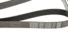 Ремень поликлиновый (пр-во DAYCO) Dayco 7PK2250 (фото 4)