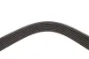 Ремень поликлиновый (пр-во DAYCO) dayco 7PK2842