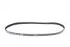 Ремень поликлиновый (пр-во DAYCO) dayco 4PK825