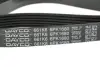 Ремень поликлиновый (пр-во DAYCO) dayco 6PK1680