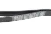 Ремень поликлиновый (пр-во DAYCO) dayco 6PK2404