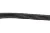 Ремень поликлиновый (пр-во DAYCO) dayco 6PK2404