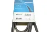 Ремень поликлиновый (пр-во DAYCO) dayco 6PK2585