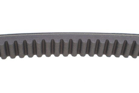 Ремінь ГРМ dayco HP2021