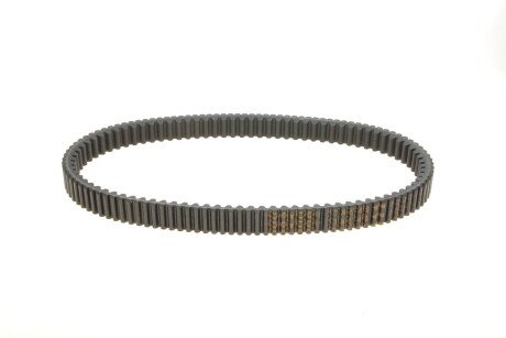 Ремінь ГРМ dayco XTX2248