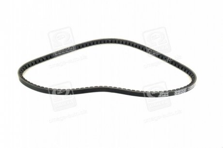 Привідний ремінь генератора dayco 11A0910C