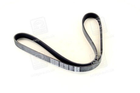 Привідний ремінь генератора dayco 5PK1040 на Фиат Типо