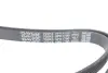 Ремінь поліклиновий dayco 5PK1790