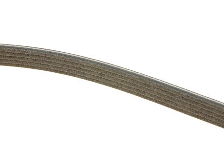 Ремінь поліклиновий dayco 5PK1960S