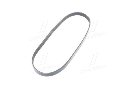 Ремінь поліклиновий dayco 5PK897S