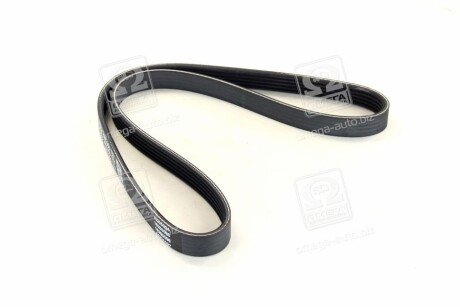 Ремінь поліклиновий dayco 5PK955