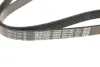 Ремінь поліклиновий Dayco 6PK1087 (фото 2)
