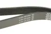 Ремінь поліклиновий dayco 6PK2220K