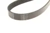 Ремінь поліклиновий dayco 6PK2300