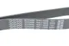 Ремінь поліклиновий dayco 7PK1165S