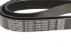 Ремінь поліклиновий dayco 7PK1569