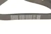 Ремінь поліклиновий dayco 7PK1673S