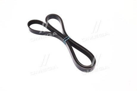 Ремінь поліклиновий dayco 7PK2342