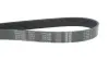 Ремінь поліклиновий dayco 7PK2365