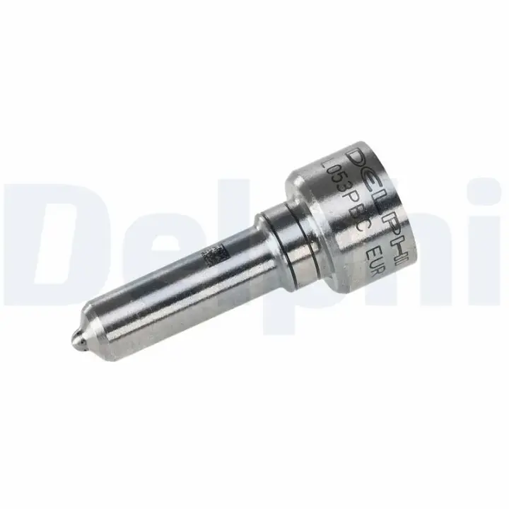 Ремонтний комплект, інжекторна форсунка Delphi L053PBC12B1 (фото 1)