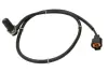 Датчик ABS Delphi SS20619 (фото 1)