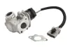 DELPHI FORD Клапан возврата О.Г. Focus II 1.6 TDCi delphi EG10435-12B1
