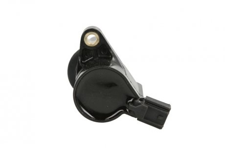 Котушка (модуль) запалювання delphi GN1019212B1