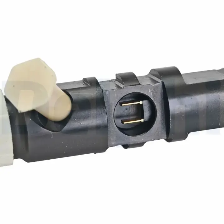 Топливная форсунка delphi R04401D12B1