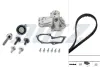 FORD К-т ГРМ (ремень+ ролик +помпа) B-MAX, C-MAX II, FIESTA V, MAZDA, VOLVO DOLZ KD070