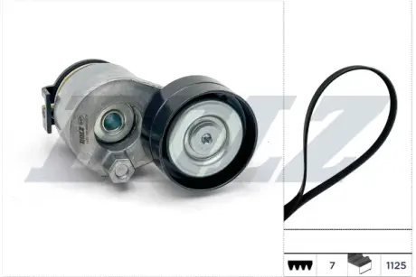 RENAULT ремінь ГРМ + натягувач DUSTER 2.0 12-, RENAULT GRAND SCENIC II 1.9 dCi 05-09, MEGANE II / III DOLZ SKD207A Рено Megane