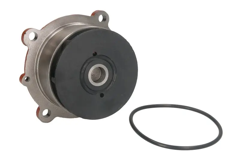 Водяная помпа (насос) DOLZ D301