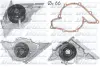 Водяная помпа (насос) DOLZ A194
