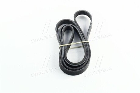 Приводной ремень генератора dongil 5PK1750