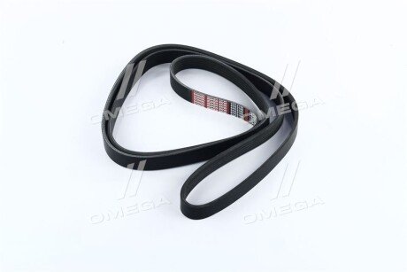 Привідний ремінь генератора dongil 6PK2160