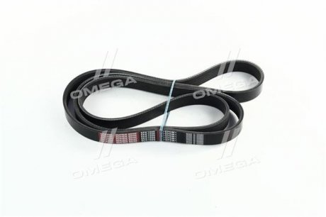 Привідний ремінь генератора dongil 6PK1698 на Фольксваген Пассат б6