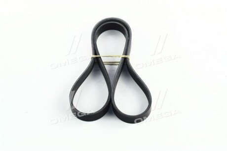 Привідний ремінь генератора dongil 5PK1008