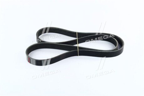 Привідний ремінь генератора dongil 6PK1281