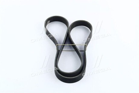 Привідний ремінь генератора dongil 6PK1281