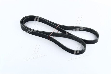 Привідний ремінь генератора dongil 6PK1570 на Фольксваген Транспортер т5