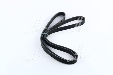 Привідний ремінь генератора dongil 6PK2010