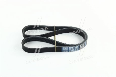 Привідний ремінь генератора dongil 6PK955