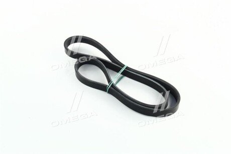 Ремінь поліклиновий dongil 5PK1013 на Smart Crossblade