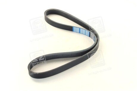 Ремінь поліклиновий dongil 5PK925