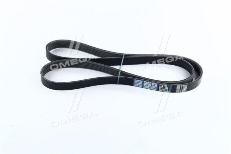 Ремінь поліклиновий dongil 6PK1564