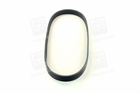 Ремінь поліклиновий dongil 6PK875