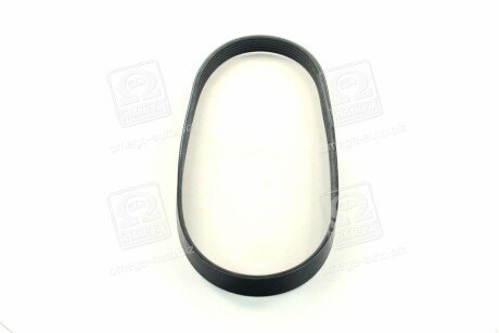 Ремінь поліклиновий dongil 6PK875